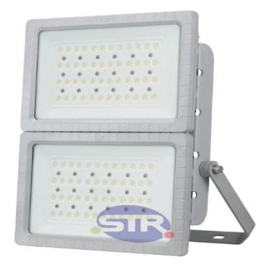 Dual Module Explosion-Proof Light BED51-I