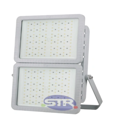 Dual Module Explosion-Proof Light BED51-II