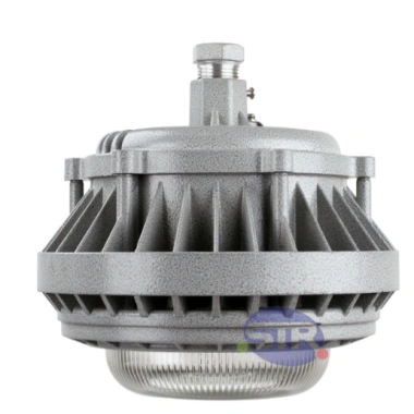 Explosion-Proof Light BED60-IIA