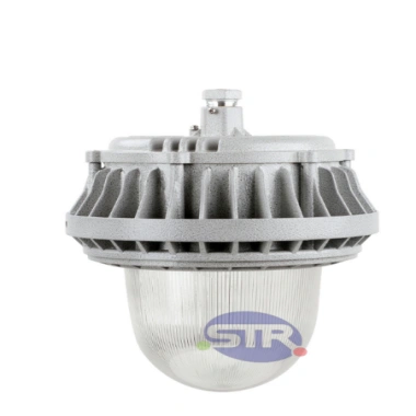 Explosion-Proof Light BED60-III