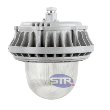 Explosion-Proof Light BED60-IV