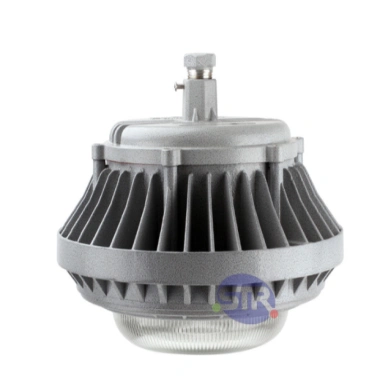 Explosion-Proof Light BED60-IVA