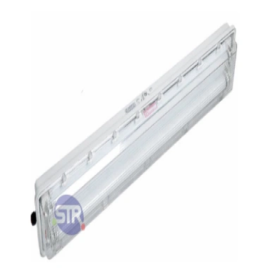 Explosion-Proof Corrosion-Resistant All-Plastic Fluorescent Light BYS-II