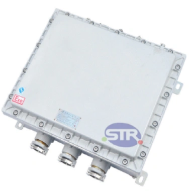Stainless Steel Explosion-Proof Junction Box BJX