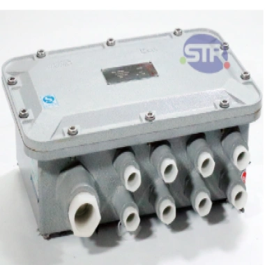 Explosion-Proof Junction Box BJX-II