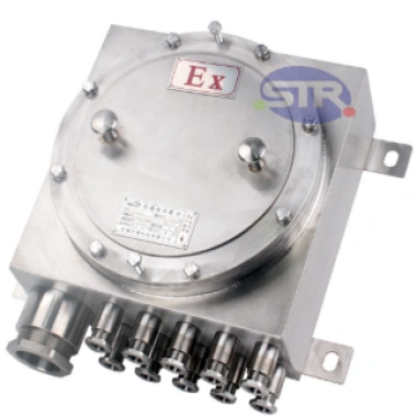 Stainless Steel Explosion-Proof Junction Box CJX