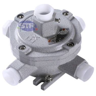 Explosion-Proof Junction Box AH-IVD