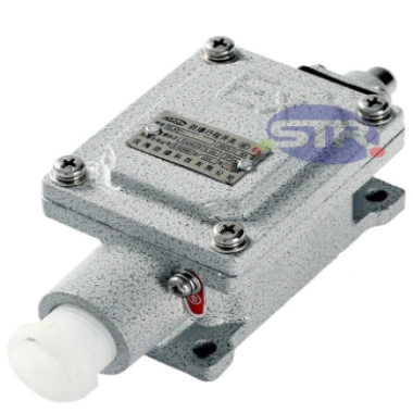 Explosion-Proof Limit Switch BLX51-Z