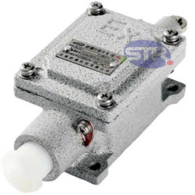 Explosion-Proof Limit Switch BLX51-L