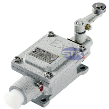 Explosion-Proof Limit Switch BLX51-B