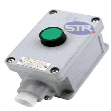 Explosion-Proof Single Push Button LA53