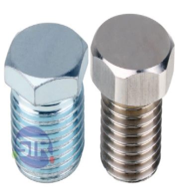 Explosion-Proof Stopping Plug BSFD