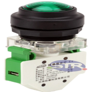 Explosion-Proof Indicator Light Component BD8060 Green